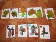 Pokusy a pozorování